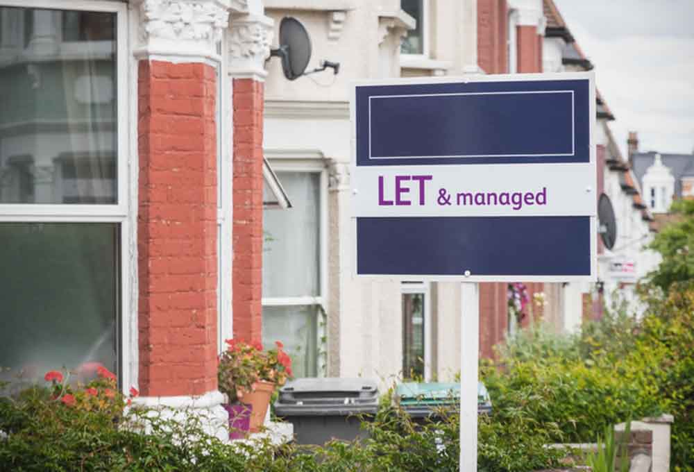 Letting Agents Mould Removal